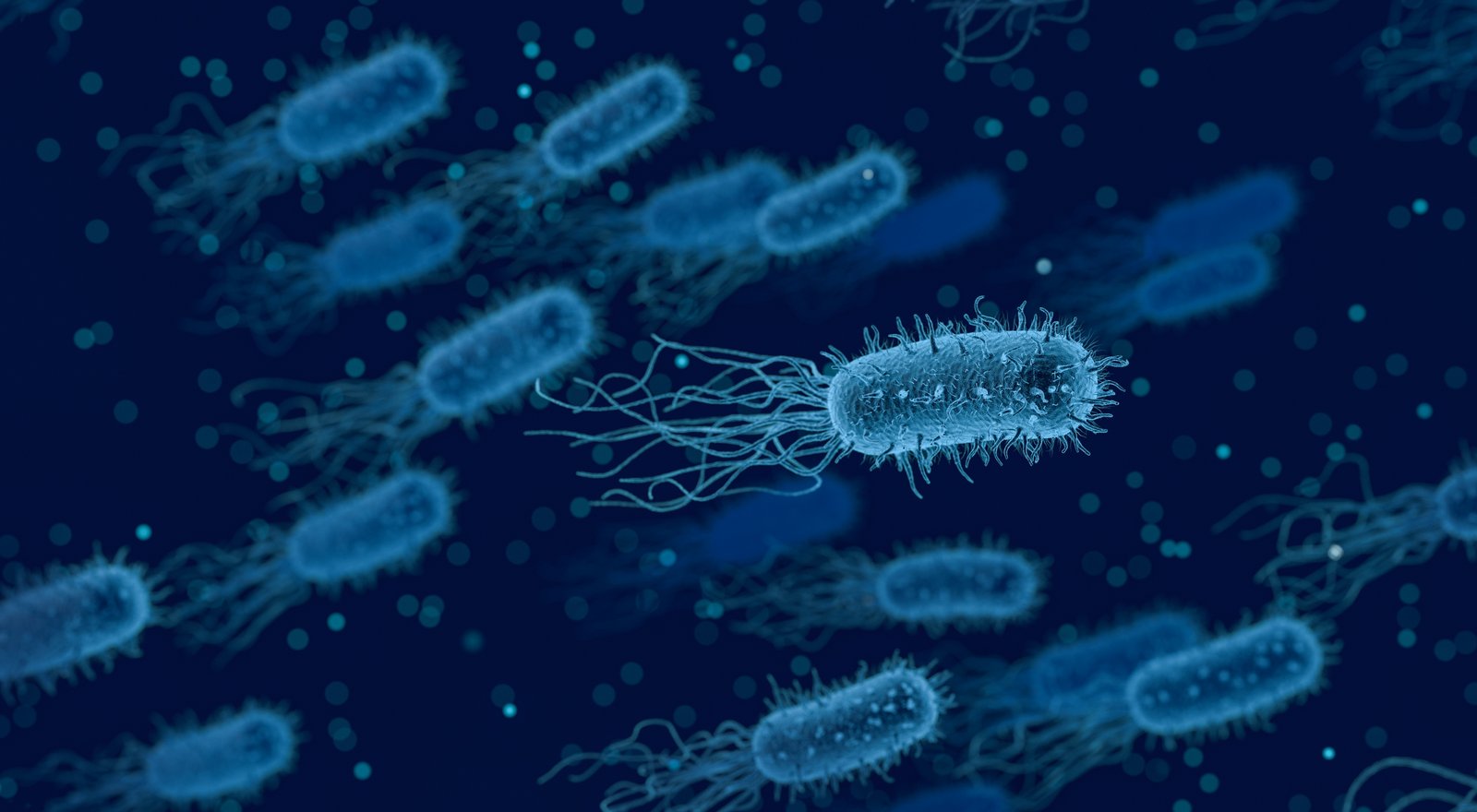 Bakterije kao simbol za spolno prenosive bolesti